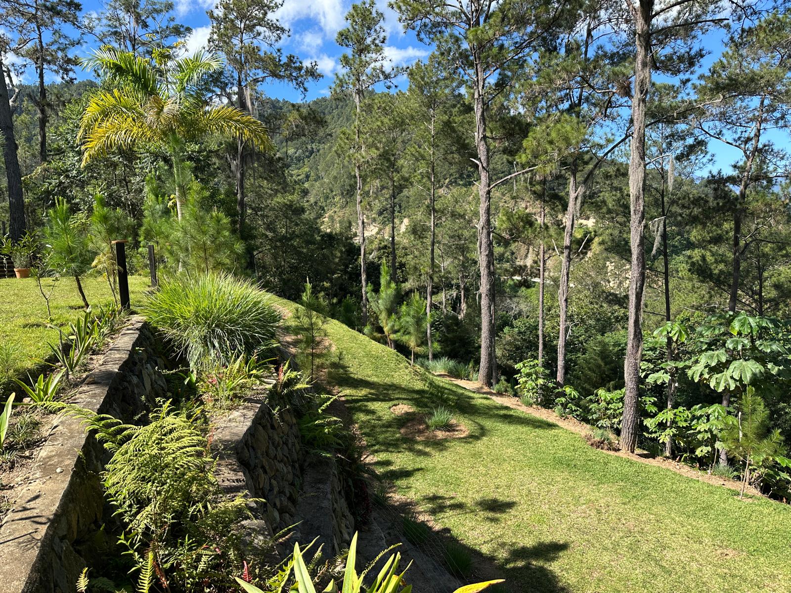 Het landgoed in de dennen met uitzicht over de Cordillera Central
